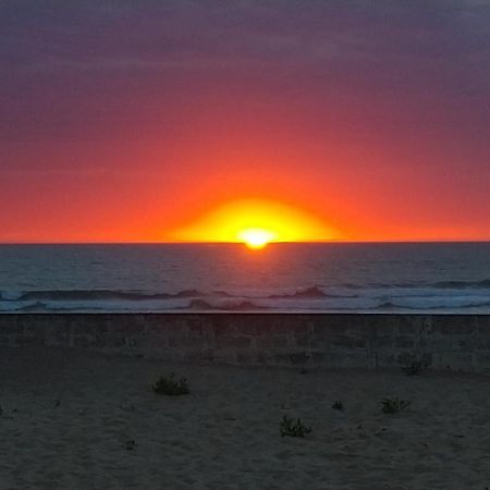 米尼赞海滩L'Ocenoa别墅 外观 照片